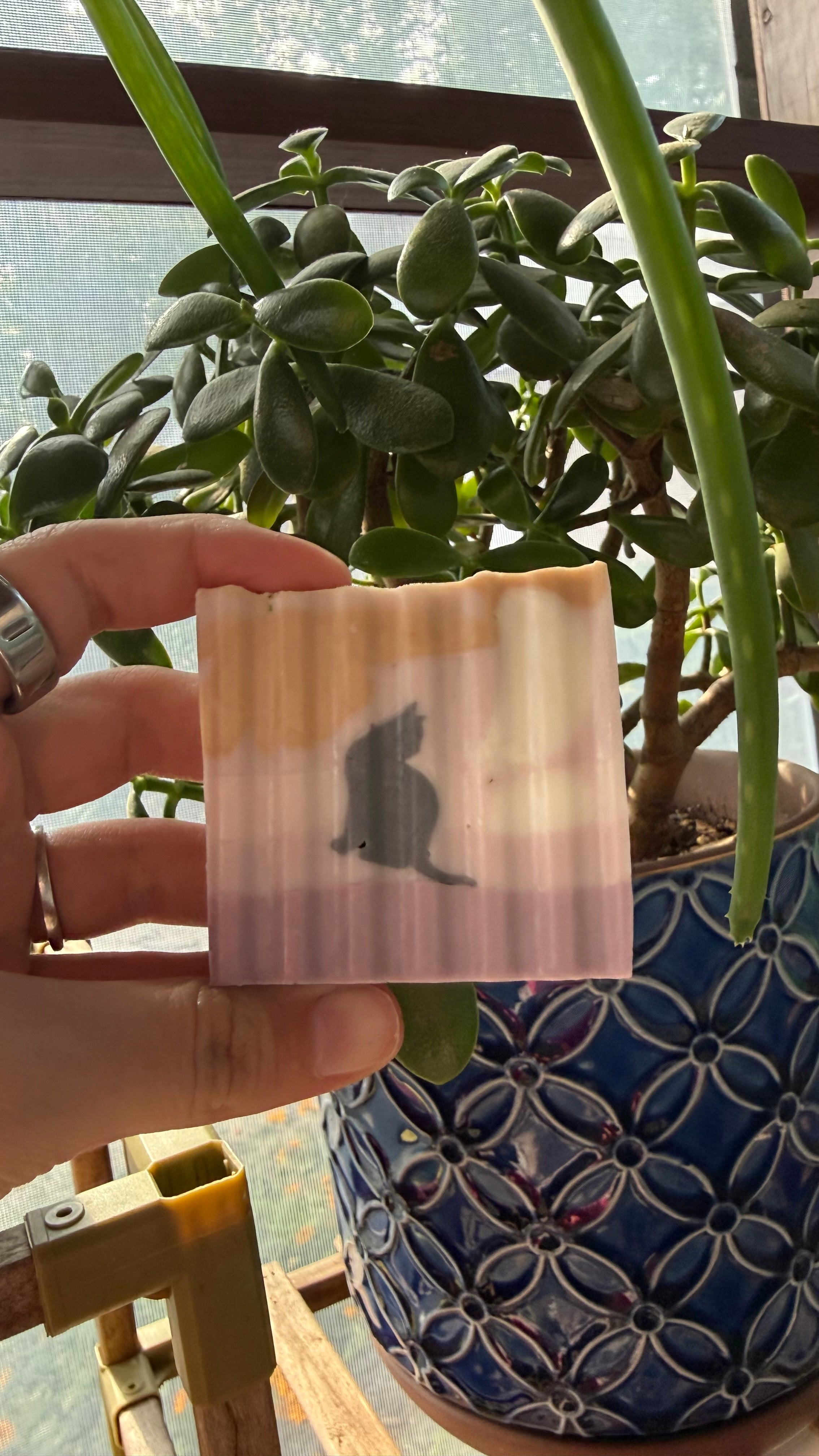 Cat Nap Lavender Soap Bar🌙🌿🪻